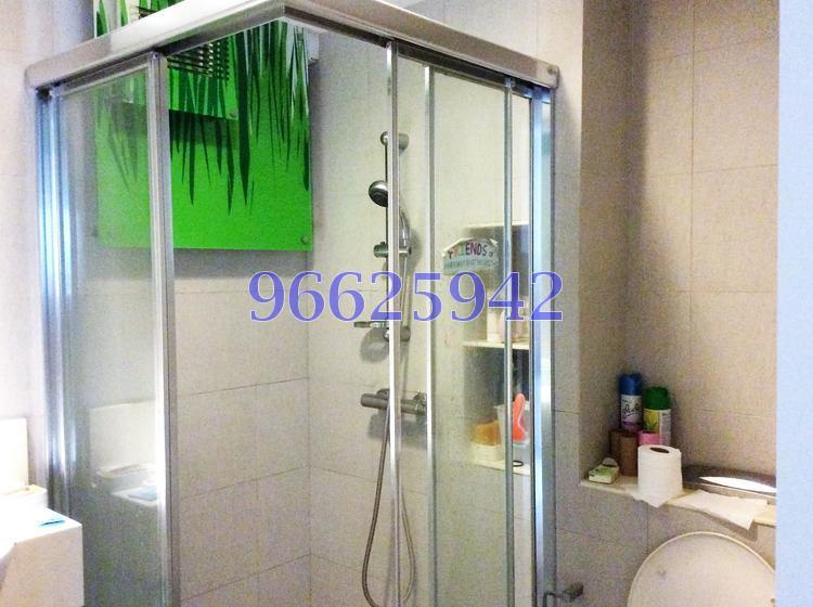 Blk 1D The Pinnacle@Duxton (Bukit Merah), HDB 4 Rooms #131881092